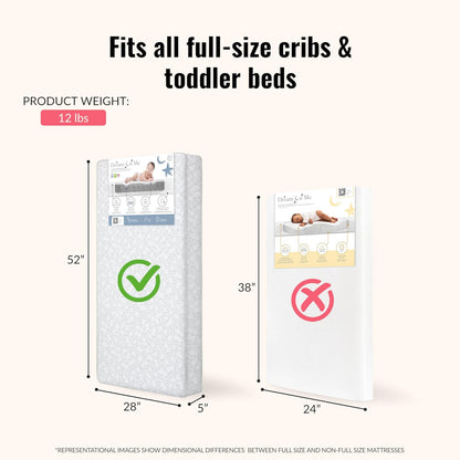 Dream On Me Nap Nest Crib and Toddler Mattress, Dual - Sided (Daisy Dreams, 52"L x 28"W x 5"Th) - Kidsy