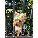 FenceMate No Escape Dog Harness (Extra Small) - Kidsy