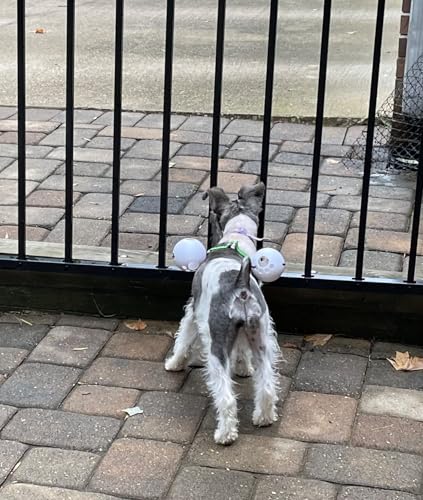 FenceMate No Escape Dog Harness (Extra Small) - Kidsy