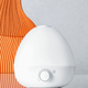 Frida Baby 3 - in - 1 Humidifier with Diffuser and Nightlight (White) - Kidsy