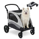GarveeHome Dog Stroller 160 lbs Foldable Pet Wagon (Black) - Kidsy