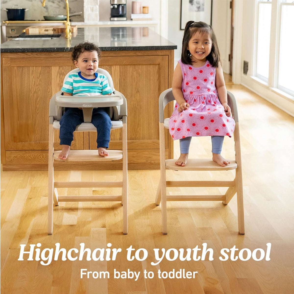 Graco Close2Baby 2-in-1 Highchair & Toddler Youth Stool (Rue) - Kidsy