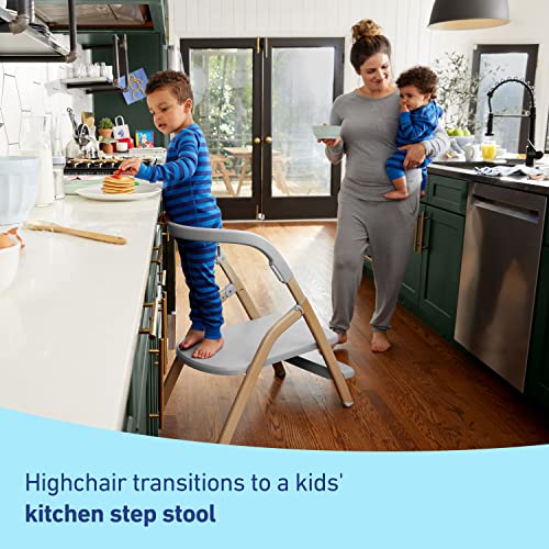 Graco EveryStep 6 in 1 High Chair (Misty) - Kidsy