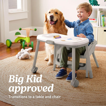 Graco Table2Table LX 6 - in - 1 Highchair (Willows) - Kidsy