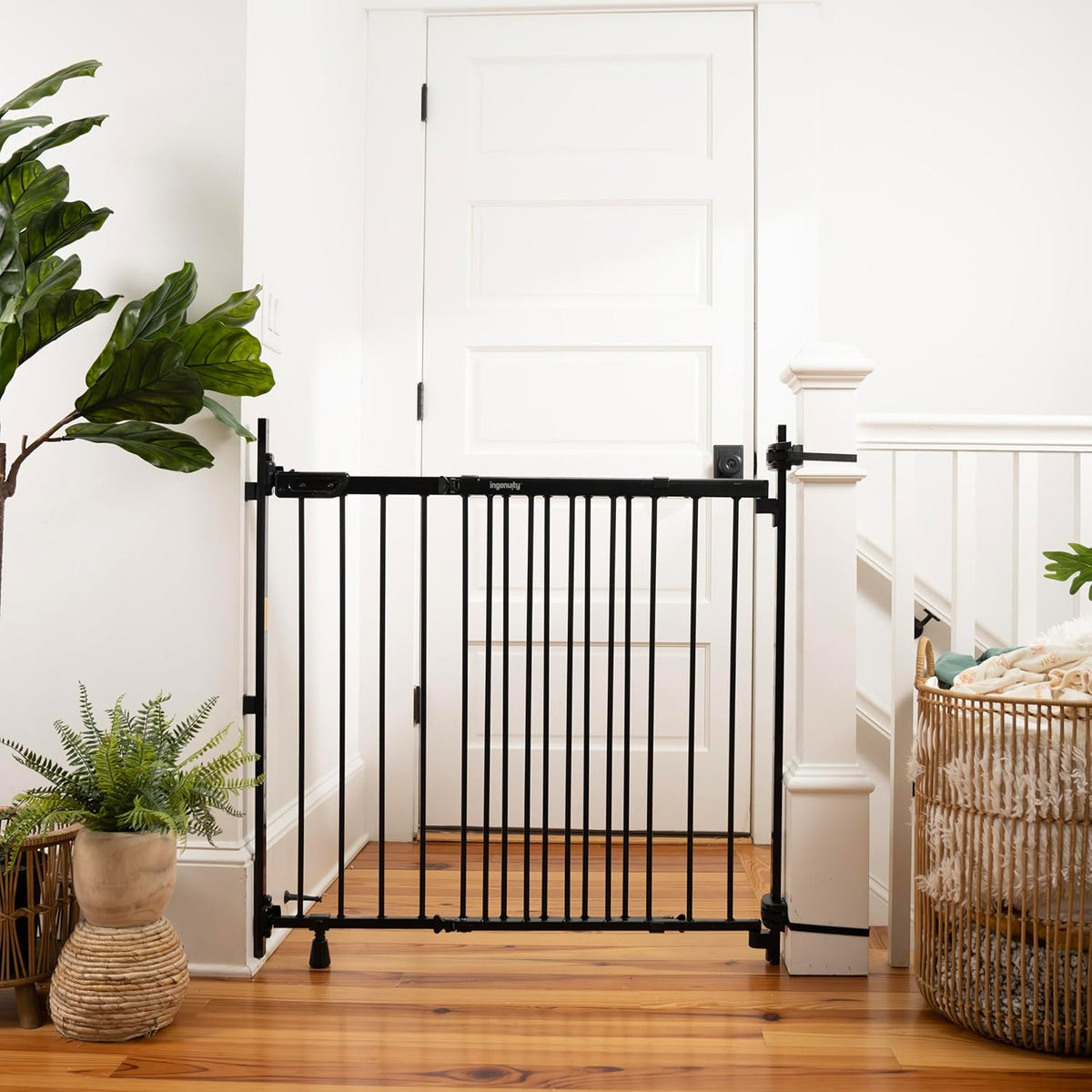 Ingenuity 46W x 32.5" Stairway Safety Gate (Black) - Kidsy