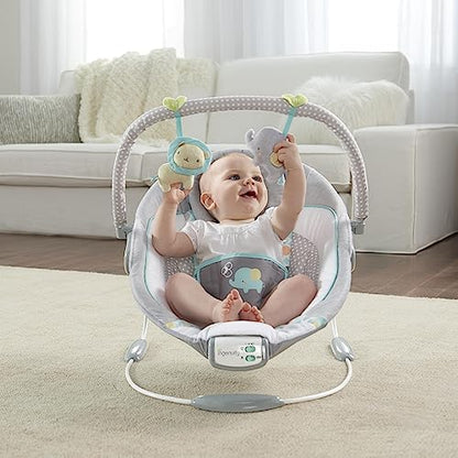 Ingenuity Soothing Baby Bouncer (Morrison) - Kidsy