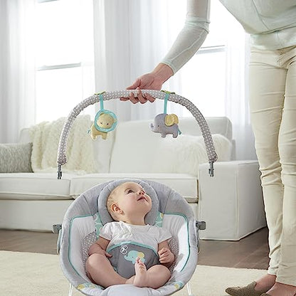 Ingenuity Soothing Baby Bouncer (Morrison) - Kidsy