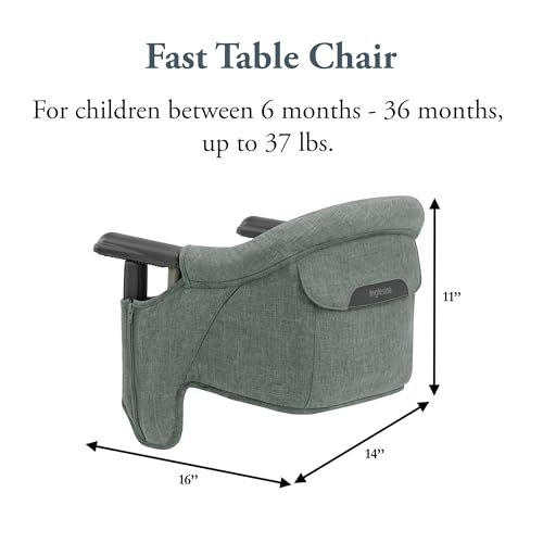 Inglesina Fast Table Chair Portable Baby High Chair (Pine Green Melange) - Kidsy