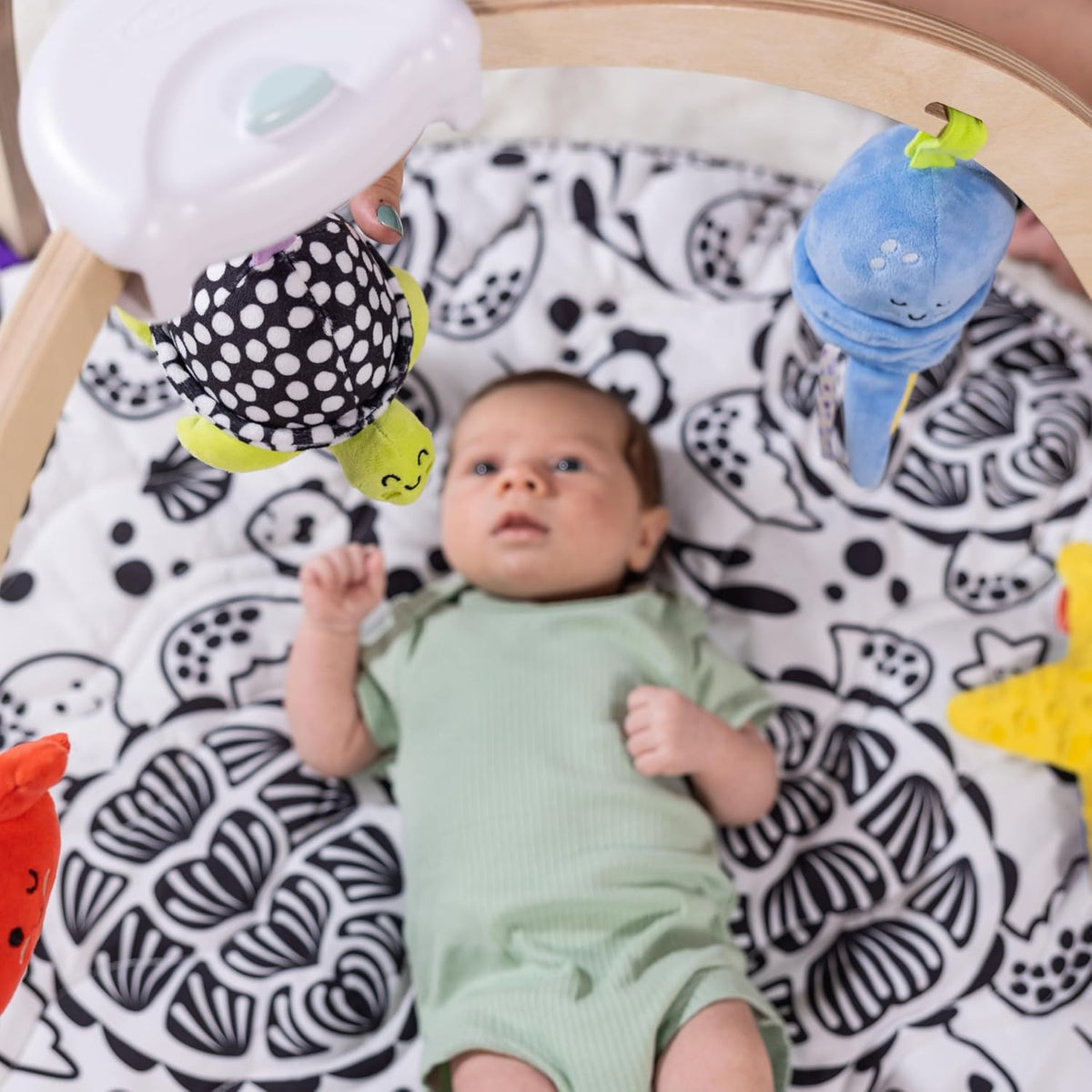 Melissa & Doug Ocean Wooden Baby Play Gym, Easy-Fold Baby Activity Center - Kidsy