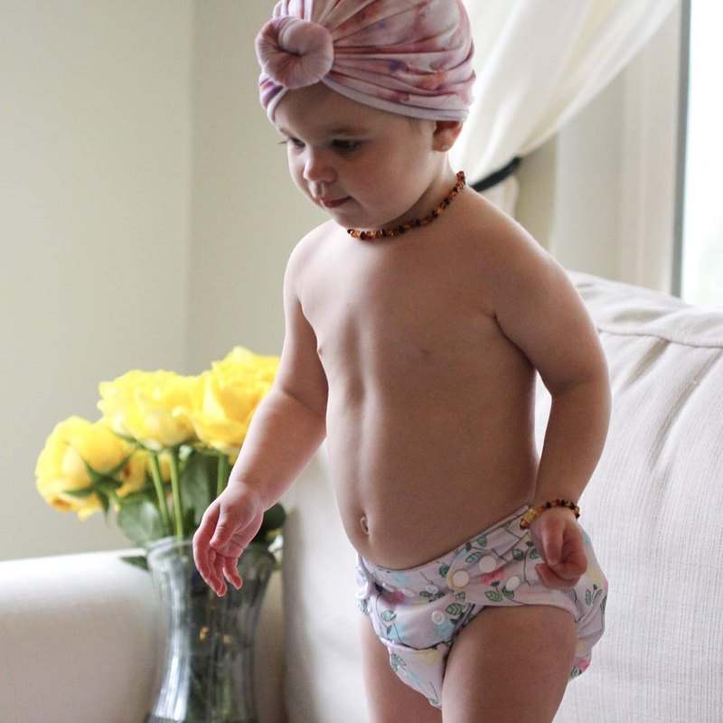 New ALVABABY 6 Pack Cloth Diapers with 12 Inserts - One Size (Cute Girl) - Kidsy