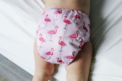 New ALVABABY 6 Pack Cloth Diapers with 12 Inserts - One Size (Cute Girl) - Kidsy