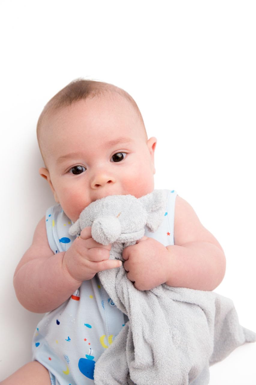 New Angel Dear Grey Elephant, Blankie - Kidsy