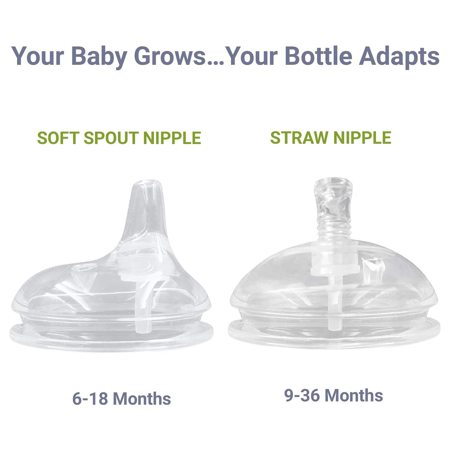 New Anpei Straw & Sippy Transitional Nipples for Comotomo Bottles (2 - Pack) - Kidsy
