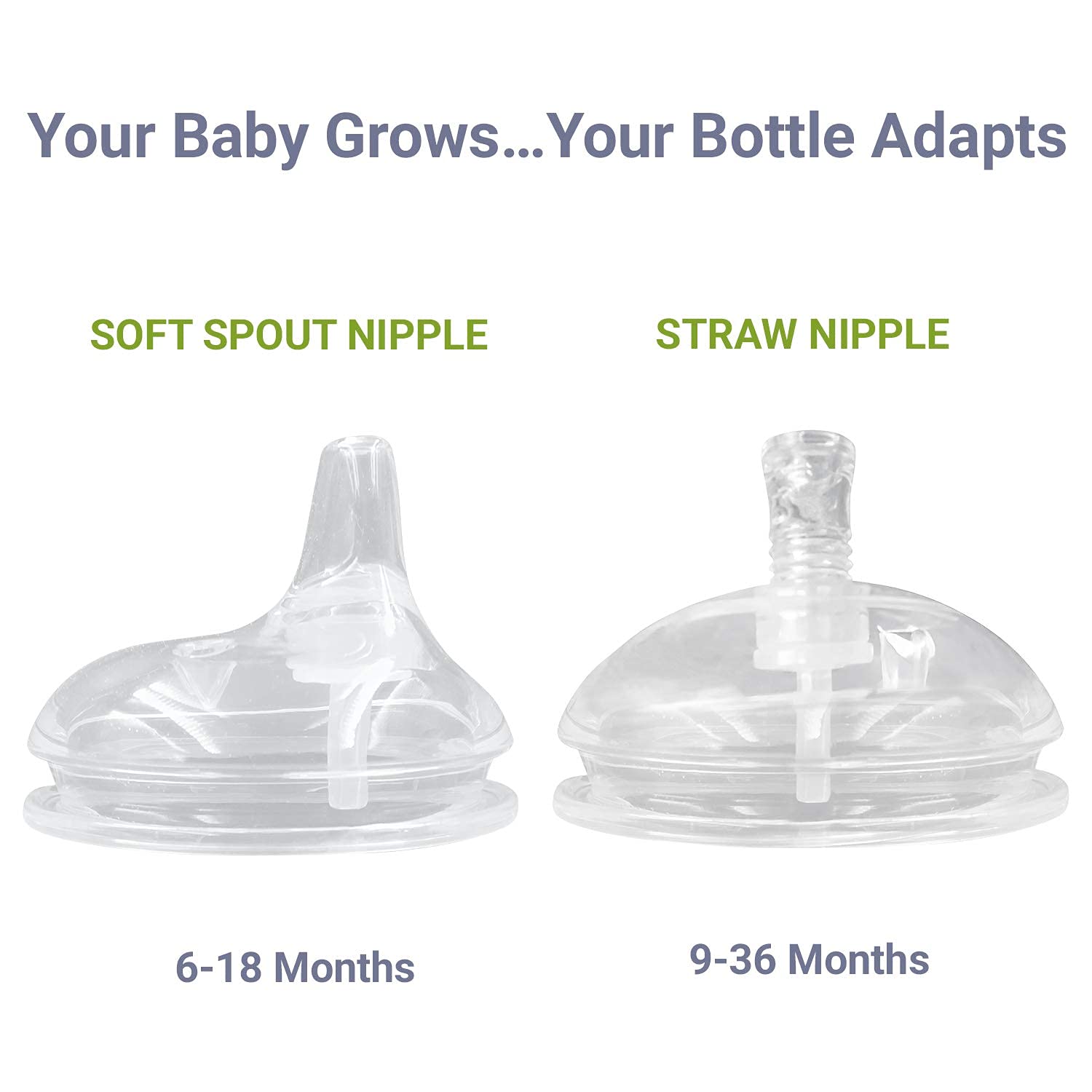 New Anpei Straw & Sippy Transitional Nipples for Comotomo Bottles (2 - Pack) - Kidsy