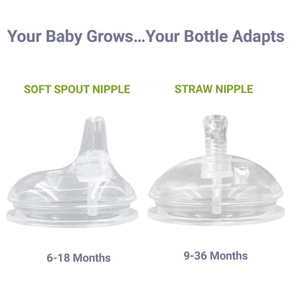 New Anpei Straw & Sippy Transitional Nipples for Comotomo Bottles (2 - Pack) - Kidsy
