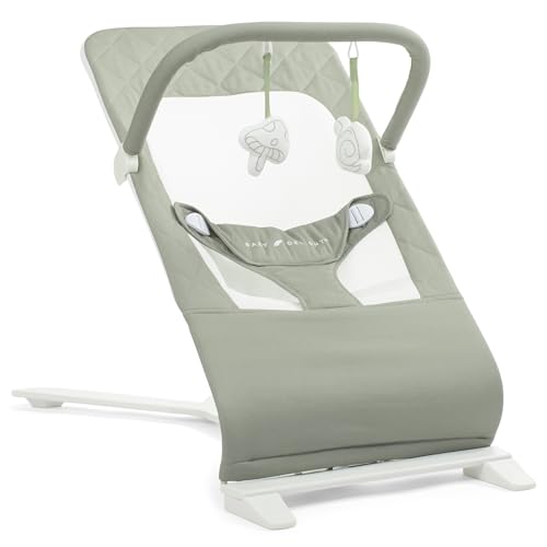 New Baby Delight Alpine Deluxe Portable Baby Bouncer (Organic Sage) - Kidsy