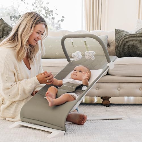 New Baby Delight Alpine Deluxe Portable Baby Bouncer (Organic Sage) - Kidsy