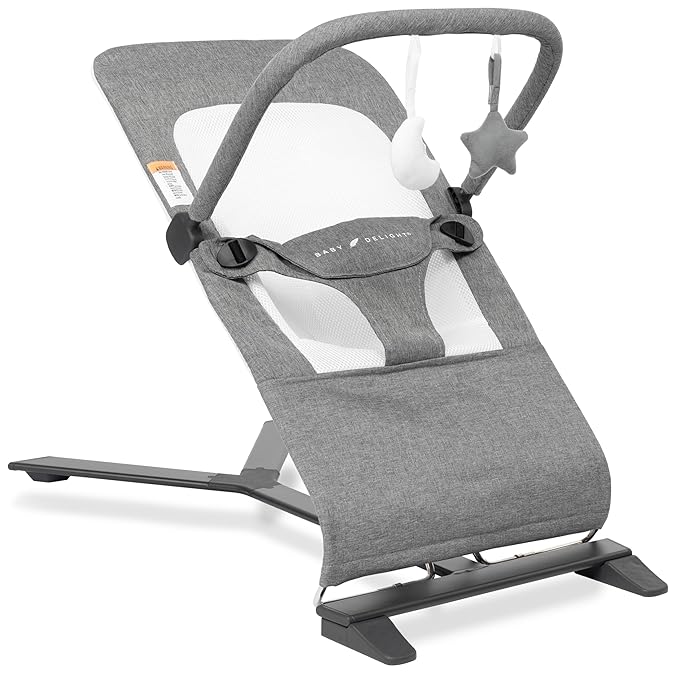New Baby Delight Alpine Deluxe Portable Bouncer (Charcoal Tweed)