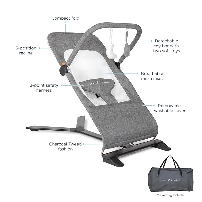 New Baby Delight Alpine Deluxe Portable Bouncer (Charcoal Tweed) - Kidsy