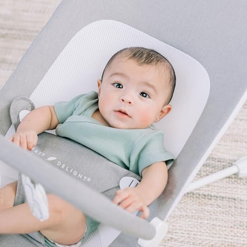 New Baby Delight Highland Portable Baby Bouncer (Pebble Gray) - Kidsy