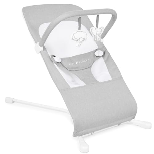 New Baby Delight Highland Portable Baby Bouncer (Pebble Gray) - Kidsy