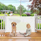 New Betertek Adjustable Gate (33" X 55", White) - Kidsy