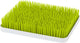 New Boon Lawn Baby Bottle Drying Rack (Spring Green) - Kidsy