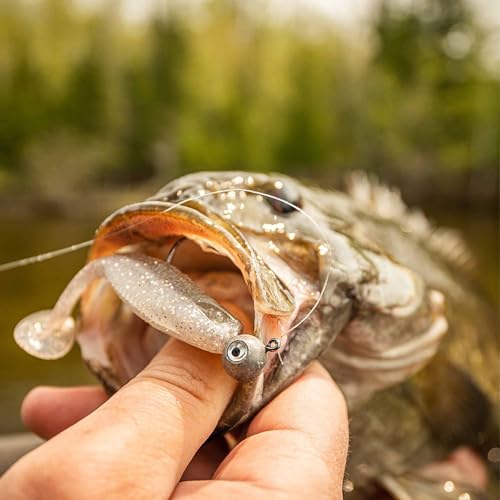New CrushCity Mayor Soft Plastic Paddle Tail Swimbait, Strong Kicking Action for Swim Jigs, Underspins & Bass Fishing, 3", Black Blue Green Pumpkin - Kidsy