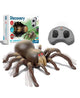 New Discovery Kids Remote Control Tarantula Spider Toy (Brown) - Kidsy