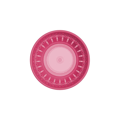 New Dr. Brown's Milestones Cheers 360 Cup Spoutless Transition Cup, Pink Leopard – Red Lemur, 10 oz/300 mL, 2 count (1 pack) - Kidsy