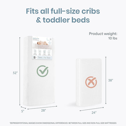 New Dream On Me Premium 2-in-1 Baby Zzz Crib & Toddler Mattress Baby Zzz - Kidsy