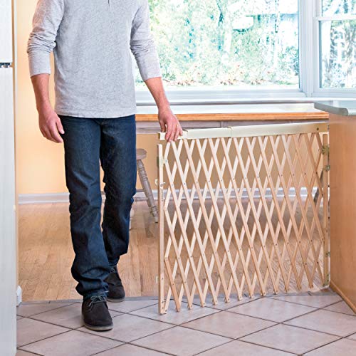 New Evenflo Walk Thru Room Divider Gate - Kidsy
