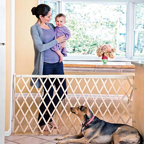 New Evenflo Walk Thru Room Divider Gate - Kidsy