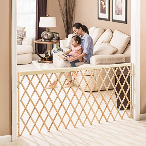 New Evenflo Walk Thru Room Divider Gate - Kidsy