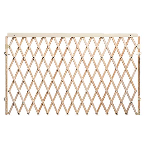 New Evenflo Walk Thru Room Divider Gate - Kidsy