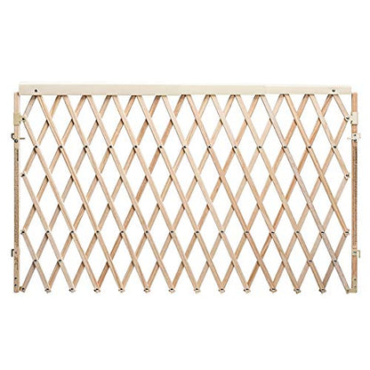 New Evenflo Walk Thru Room Divider Gate - Kidsy