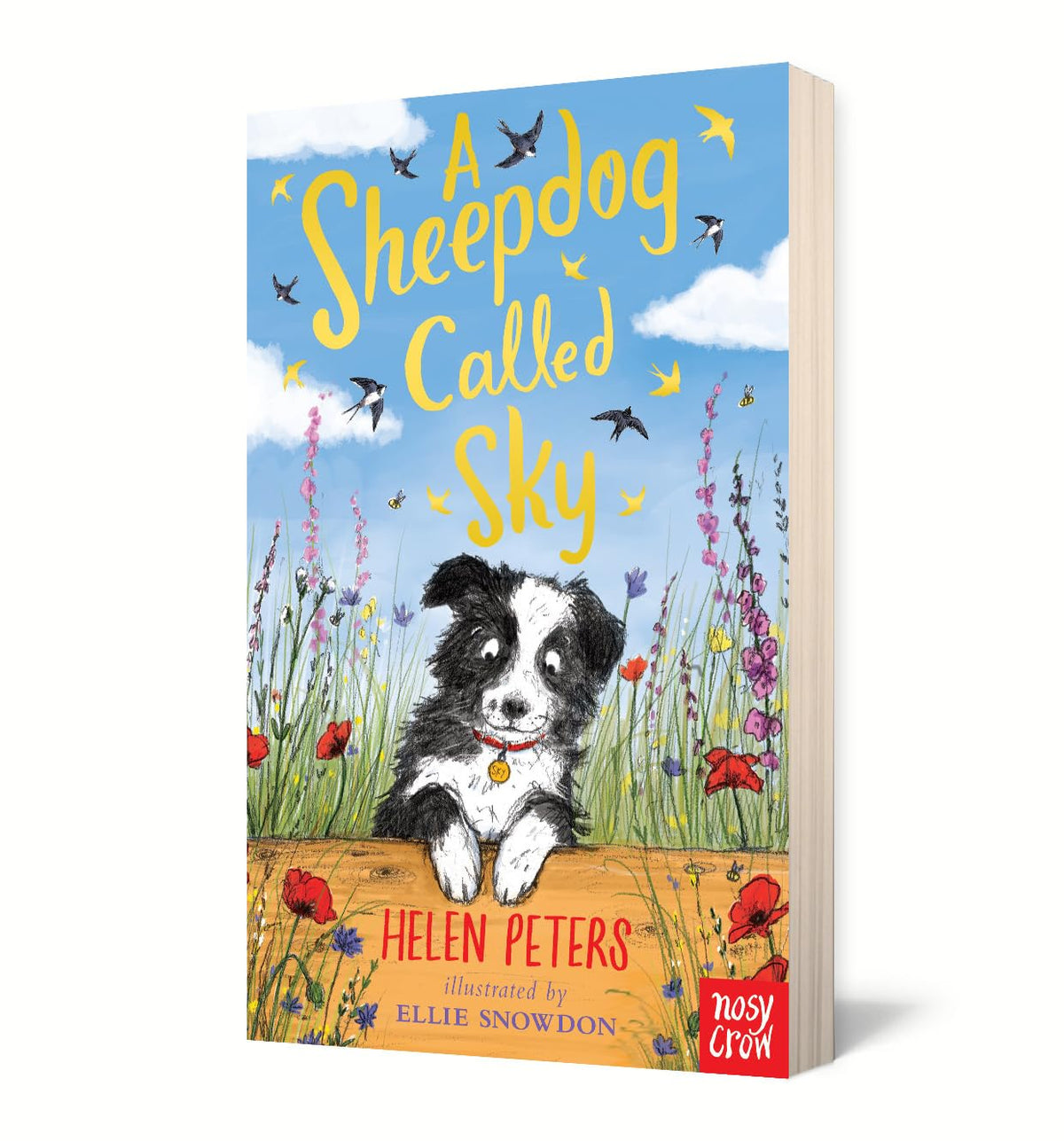 New Helen Peters A Sheepdog Called Sky Paperback - Kidsy