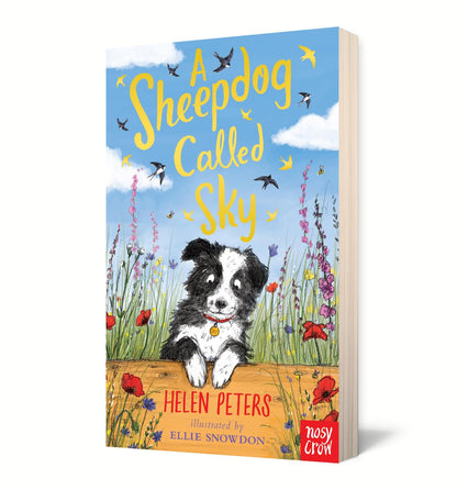 New Helen Peters A Sheepdog Called Sky Paperback - Kidsy