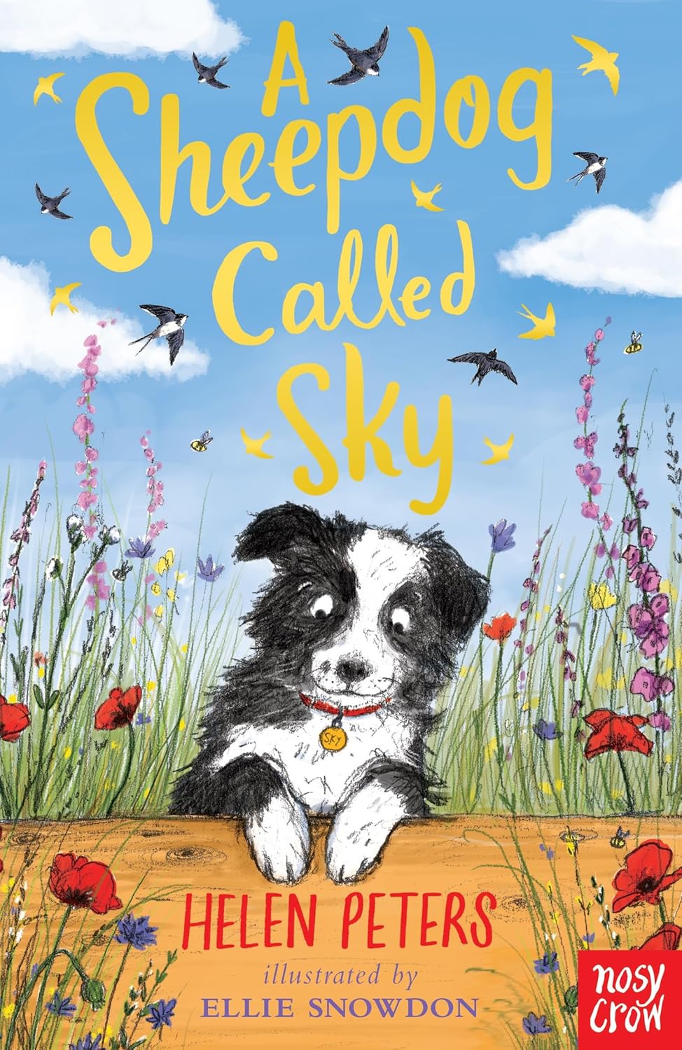New Helen Peters A Sheepdog Called Sky Paperback