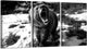 New HOMEOART Bear Wall Art Black and White (16"x24"x3 Panels) - Kidsy