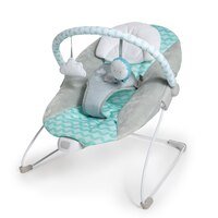 New InGenuity Ity Bouncity Bounce Vibrating Deluxe Bouncer - Kidsy