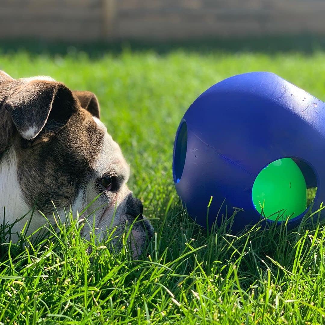 New Jolly Pets Teaser Ball Dog Toy 8 - Inch (Blue) - Kidsy