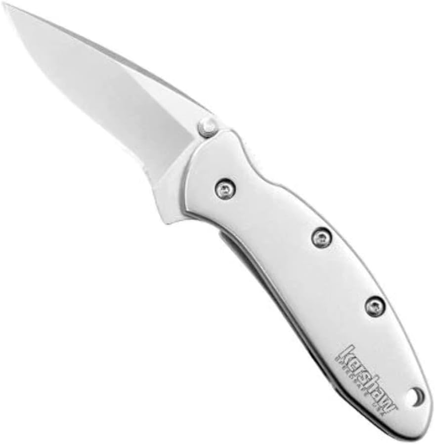 New Kershaw Chive 1.9 - Inch 420HC Speedsafe Assisted Pocket Knife (1600) - Kidsy
