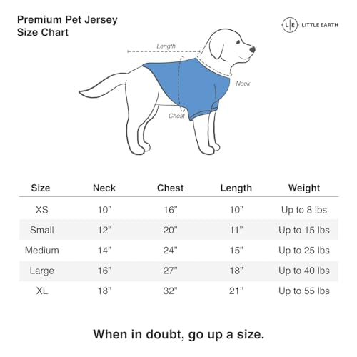 New Littlearth Seattle Seahawks NFL Premium Pet Jersey - Kidsy