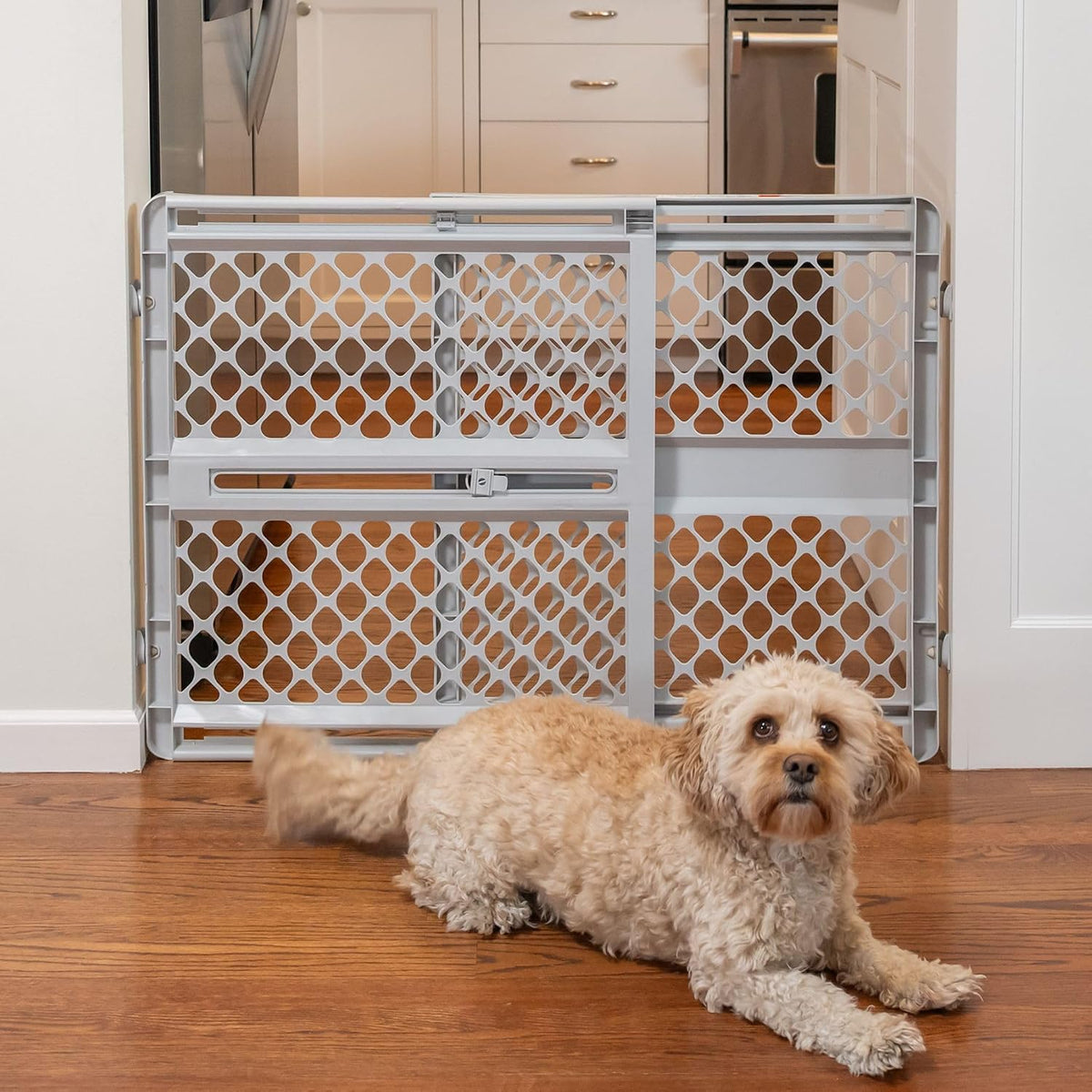 New MyPet Universal Pet Gate, 26–42 Inch (Gray) - Kidsy