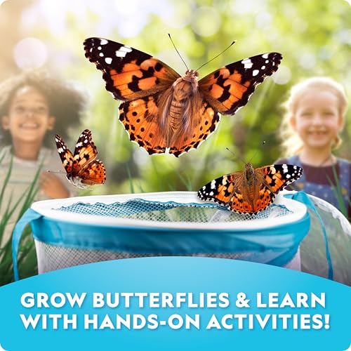 New National Geographic Ultimate Butterfly Growing Kit - Kidsy
