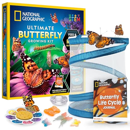 New National Geographic Ultimate Butterfly Growing Kit - Kidsy