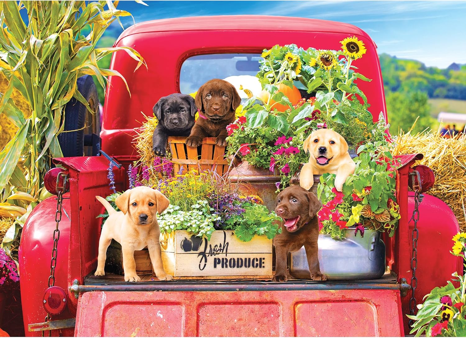 New RoseArt Kodak Premium Stowaways 1000-Piece Jigsaw Puzzle