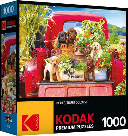 New RoseArt Kodak Premium Stowaways 1000 - Piece Jigsaw Puzzle - Kidsy