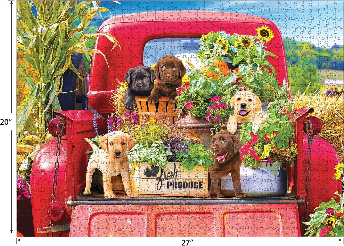 New RoseArt Kodak Premium Stowaways 1000 - Piece Jigsaw Puzzle - Kidsy
